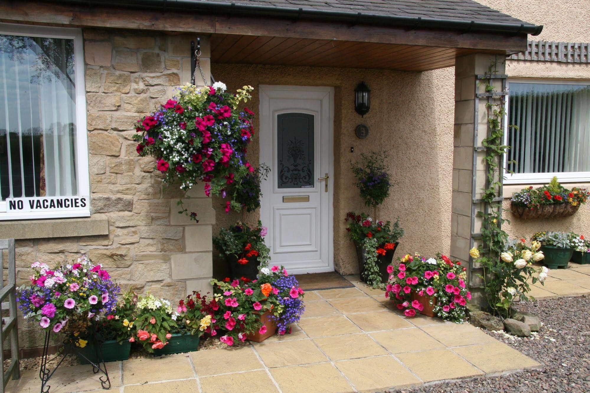 Northumberland Cottage B&B Acklington Exterior photo